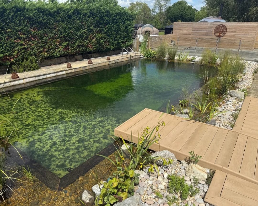 A natural swimming pool with a wooden deck